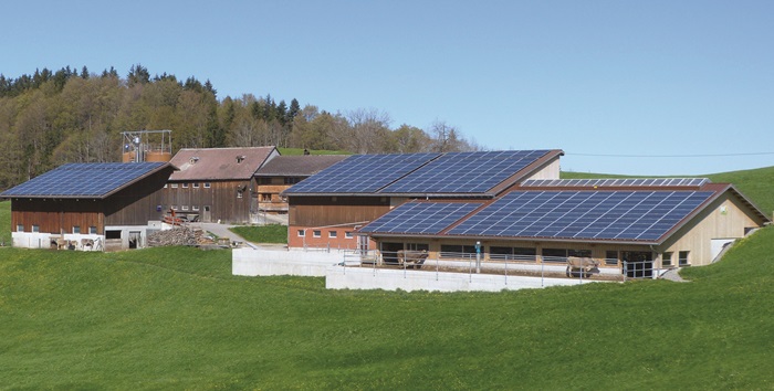 Solar panels covered these agricultural buildings.