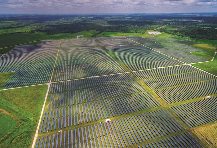 A large solar farm in Texas stretches toward the horizon.