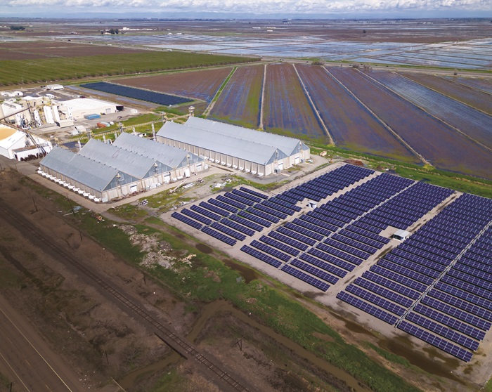 Solar panels provide energy at a California agricultural business.